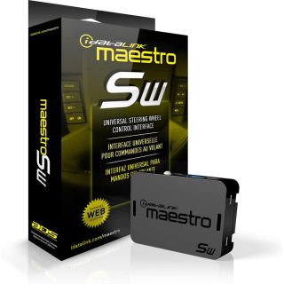 Maestro ADS-MSW