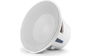 JL Audio M6-8IB-L-GwGw-4M6 Series 8"subwoofer (White Luxe grille)